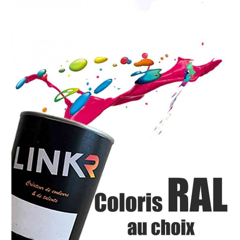 Peinture Ral (base solvantée à revernir) - LinkR - 1