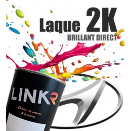 Peinture Hyundai en pot (brillant direct 2k) - LinkR - 1