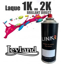 Peinture Leyland en aérosol 400ml (brillant direct) - LinkR - 1