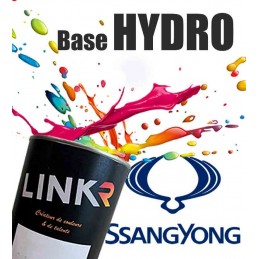 Peinture SSangYong en pot (base hydro à revernir) - LinkR - 1