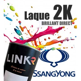Peinture SSangYong en pot (brillant direct 2k) - LinkR - 1