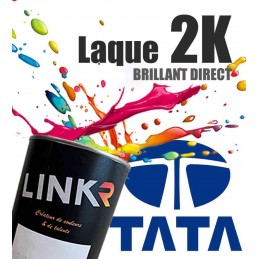 Peinture Tata en pot (brillant direct 2k) - LinkR - 1