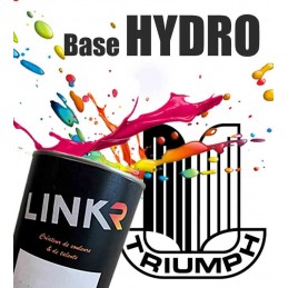 Peinture Triumph en pot (base hydro à revernir) - LinkR - 1