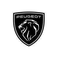 Peinture Peugeot - Peindresavoiture